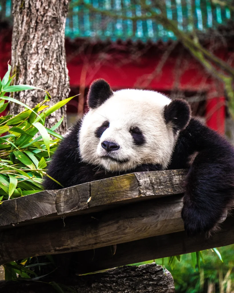 berlin zoo with family