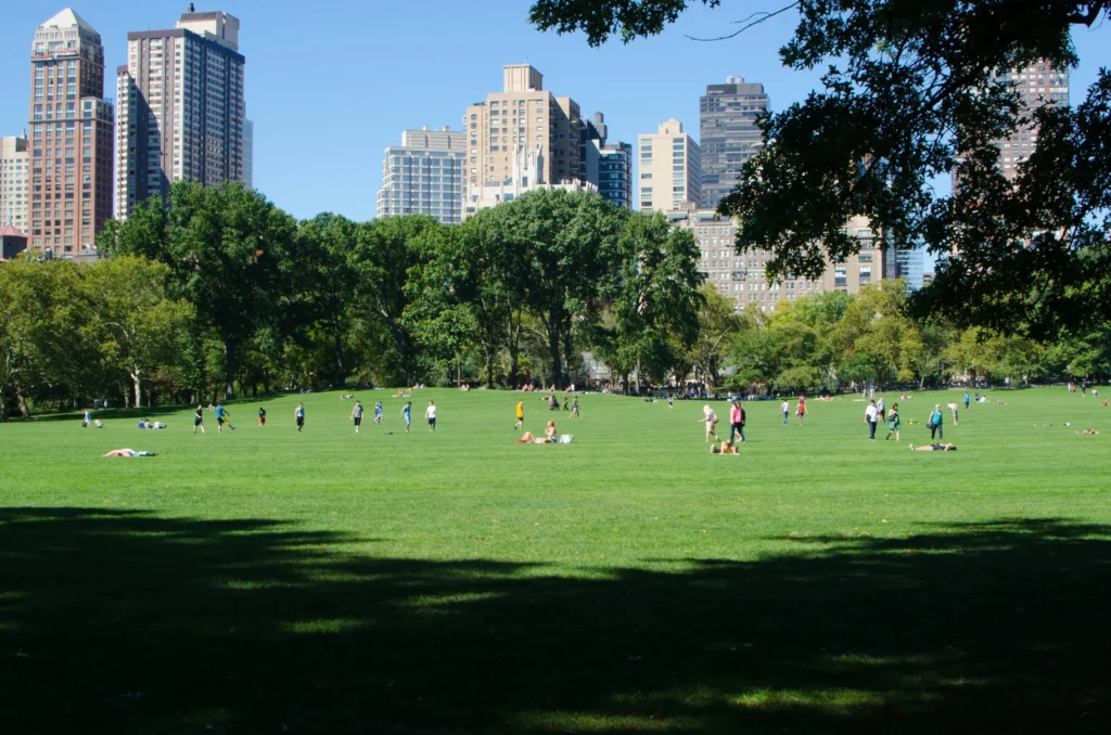 central park with family new york