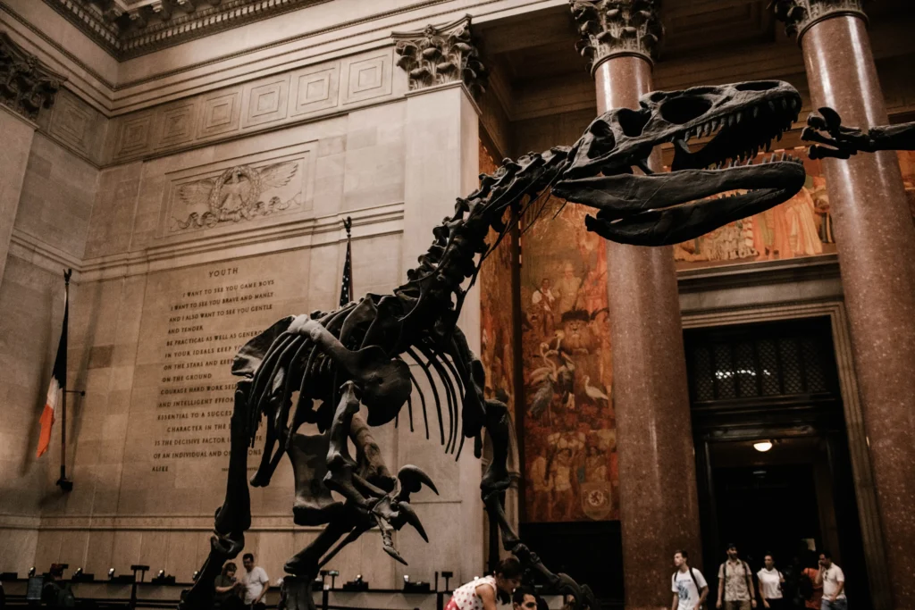 museum to visit in new york